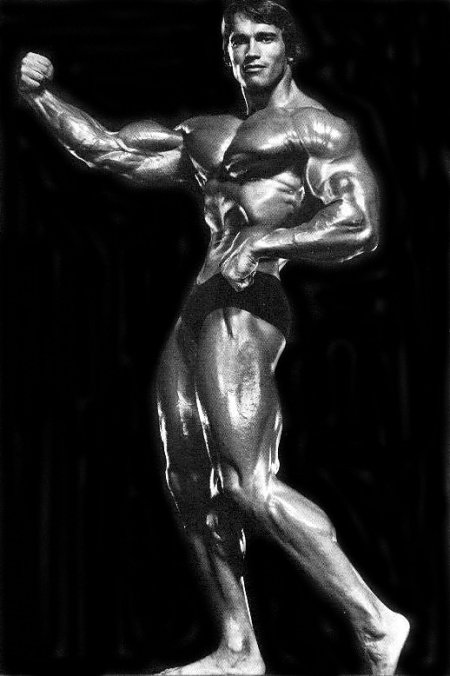 Name:  ArnoldSchwarzenegger.jpg
Views: 697
Size:  42.1 KB