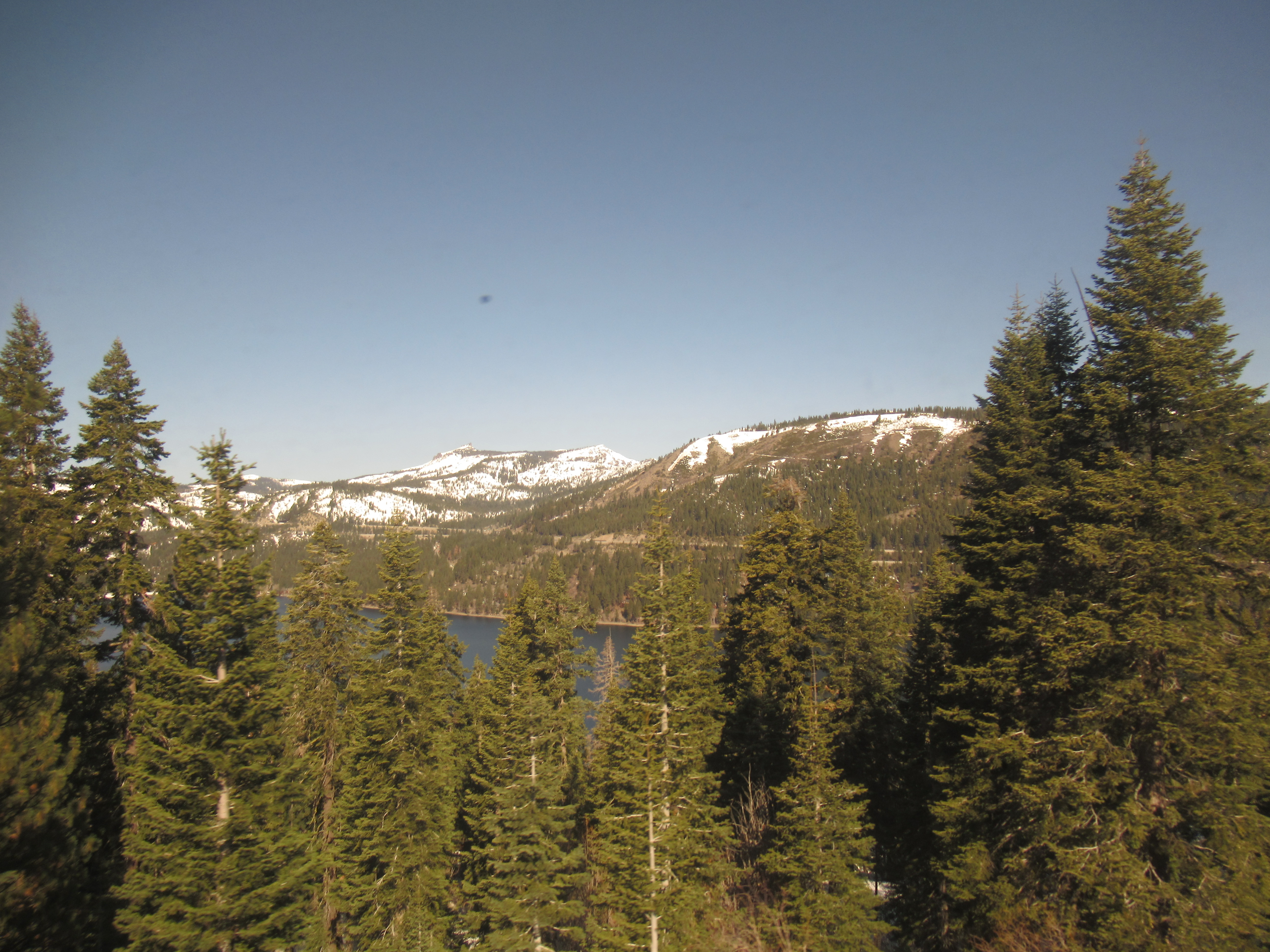 Name:  IMG_0265.JPG
Views: 434
Size:  4.83 MB