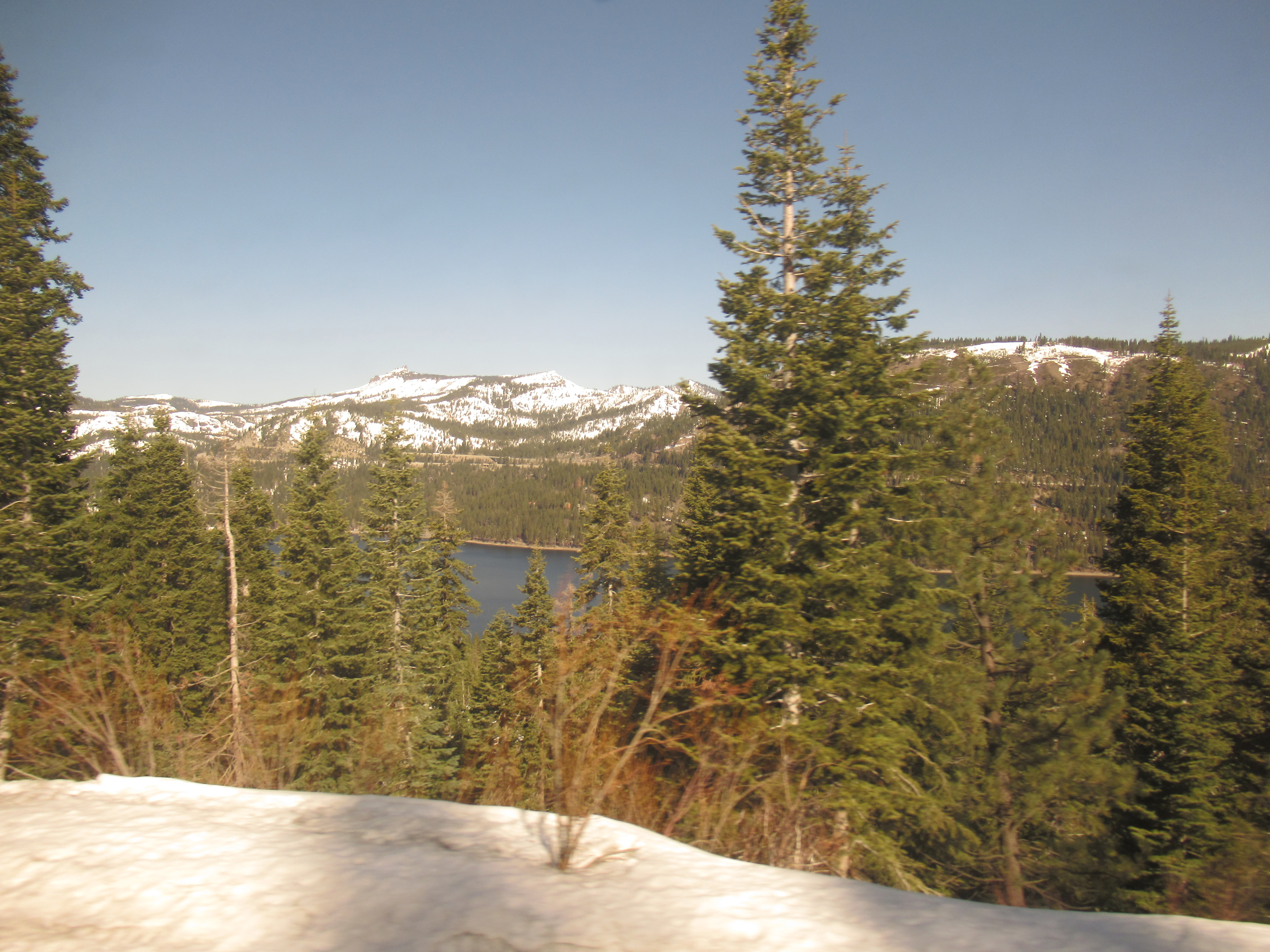 Name:  IMG_0267.JPG
Views: 433
Size:  4.59 MB