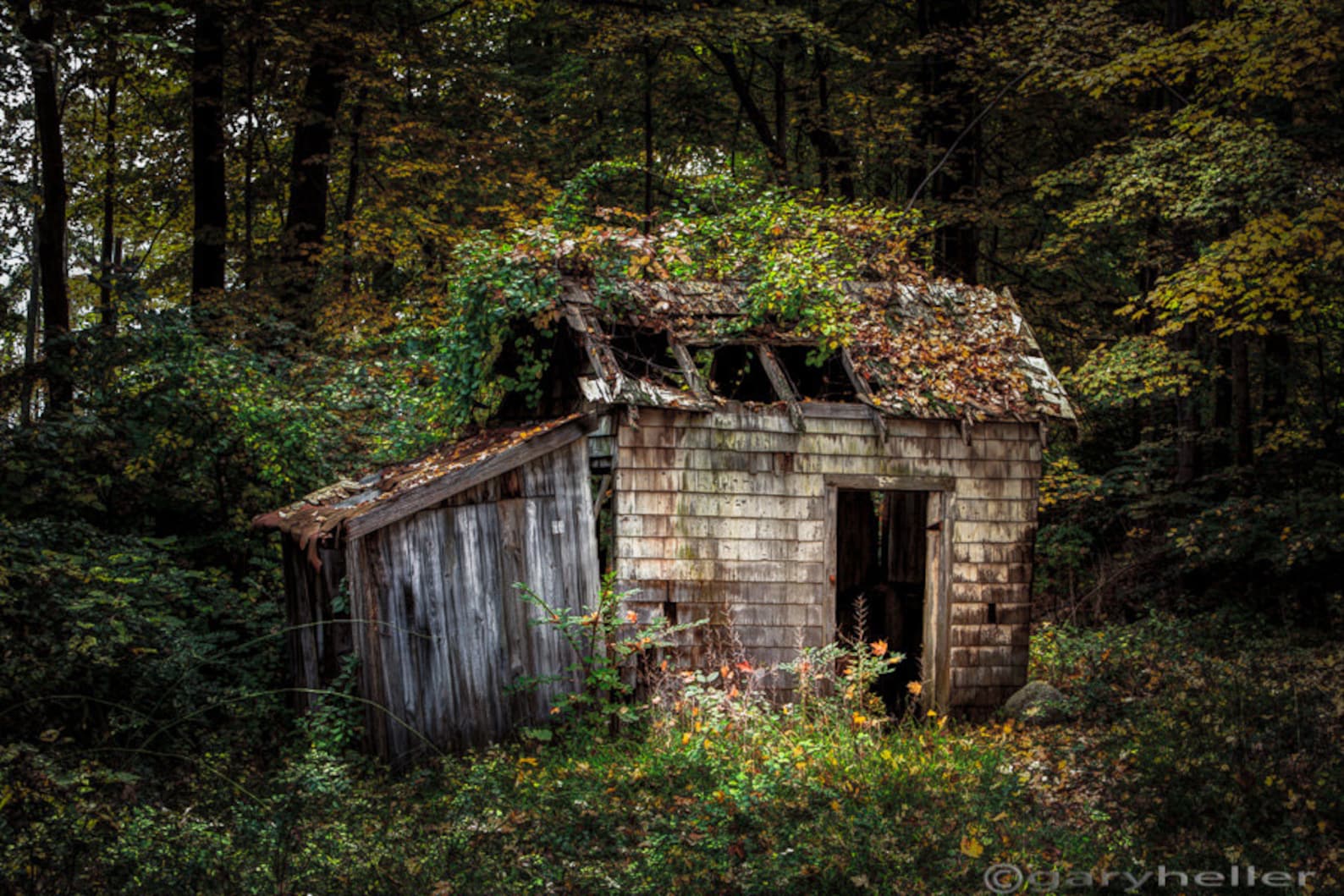 Name:  Shack.jpg
Views: 294
Size:  279.0 KB