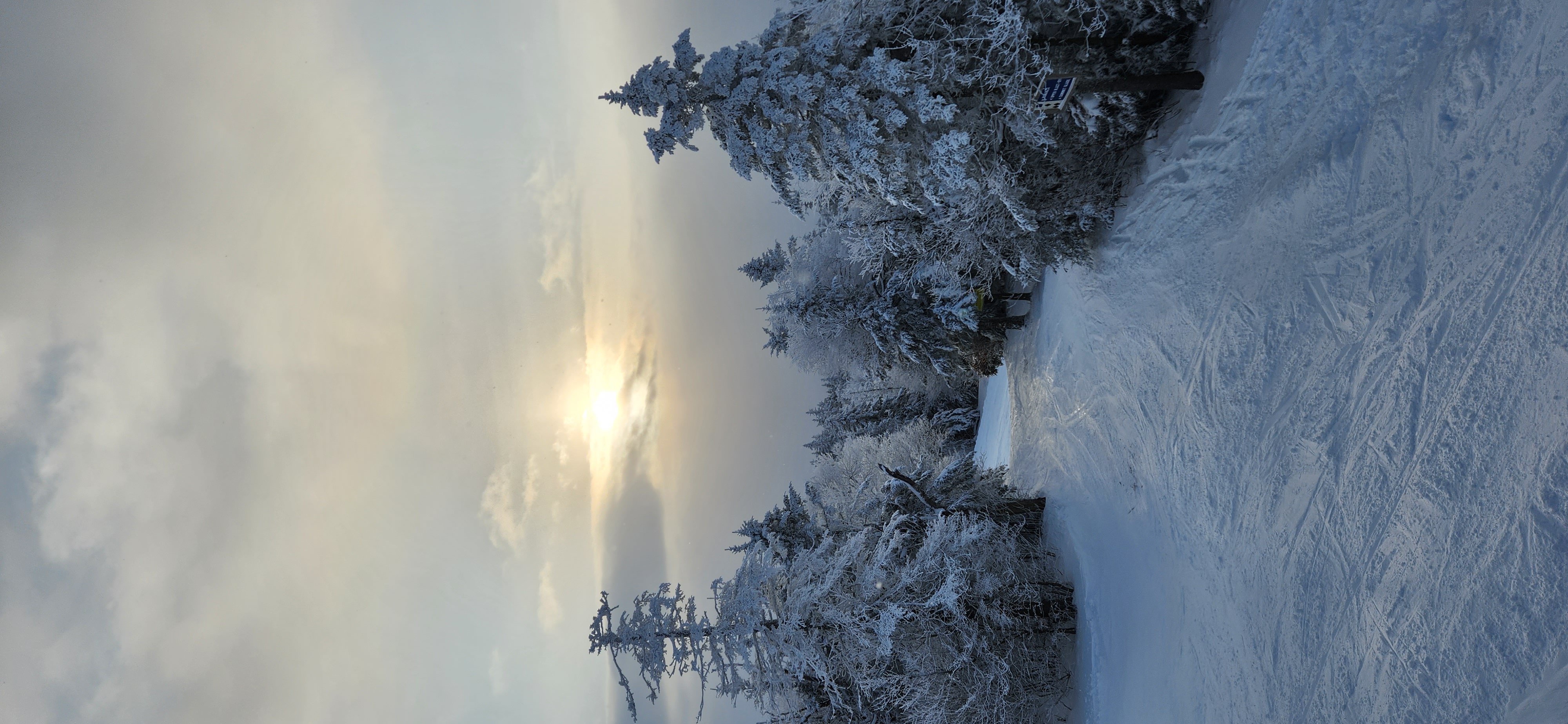 Name:  
Views: 
Size:  