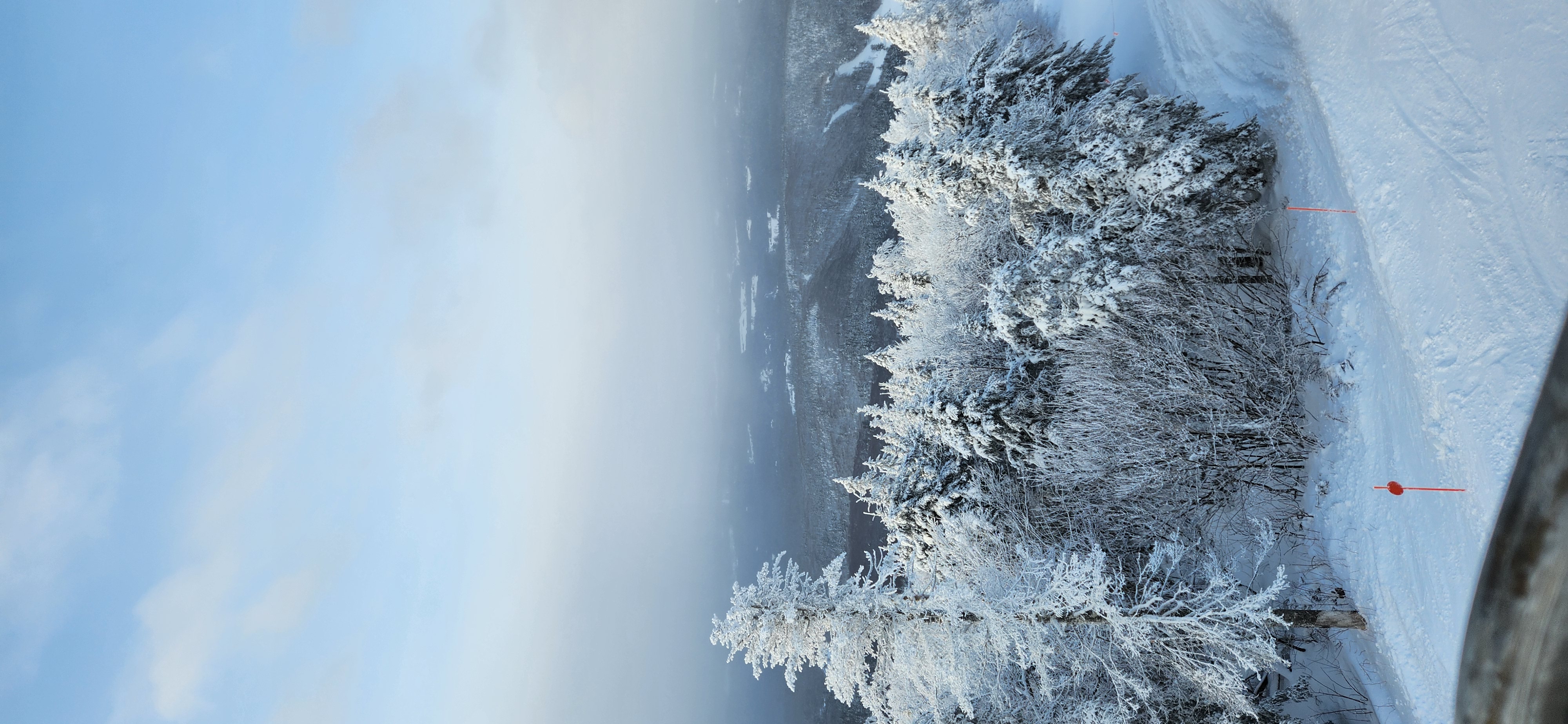 Name:  
Views: 
Size:  