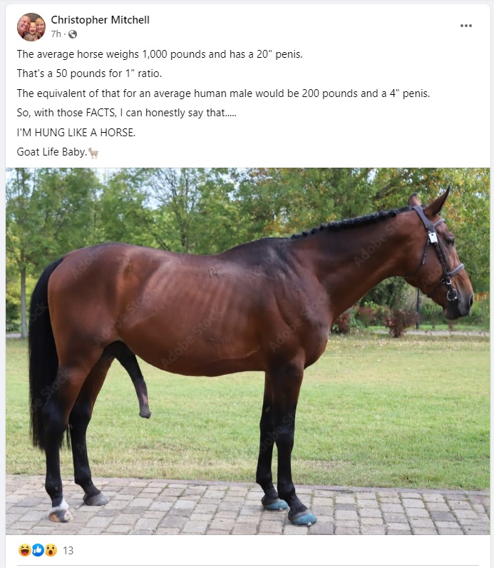Name:  horse.jpg
Views: 610
Size:  163.7 KB