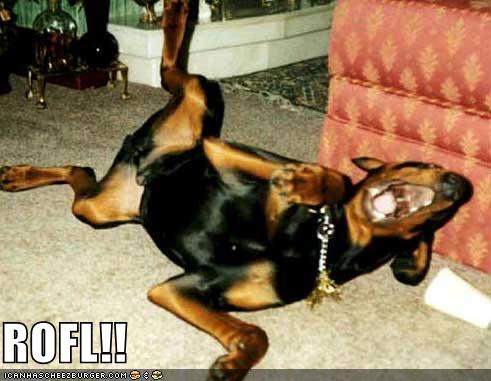 Name:  rofl.jpg
Views: 2249
Size:  34.2 KB