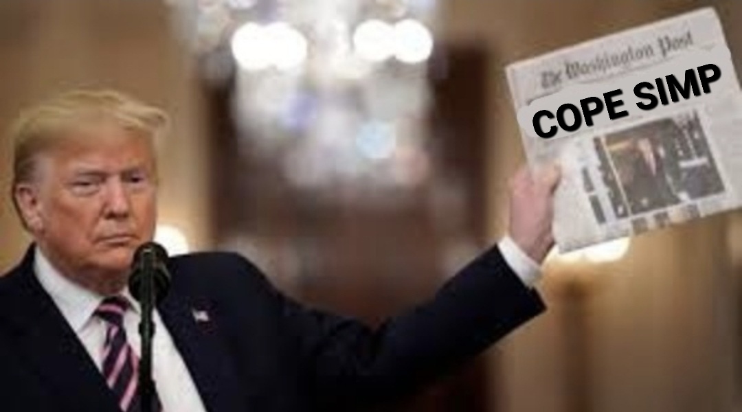 Name:  copesimp.jpg
Views: 196
Size:  97.0 KB