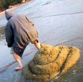 Name:  pile-of-shit-sand-castle.jpg
Views: 875
Size:  8.0 KB