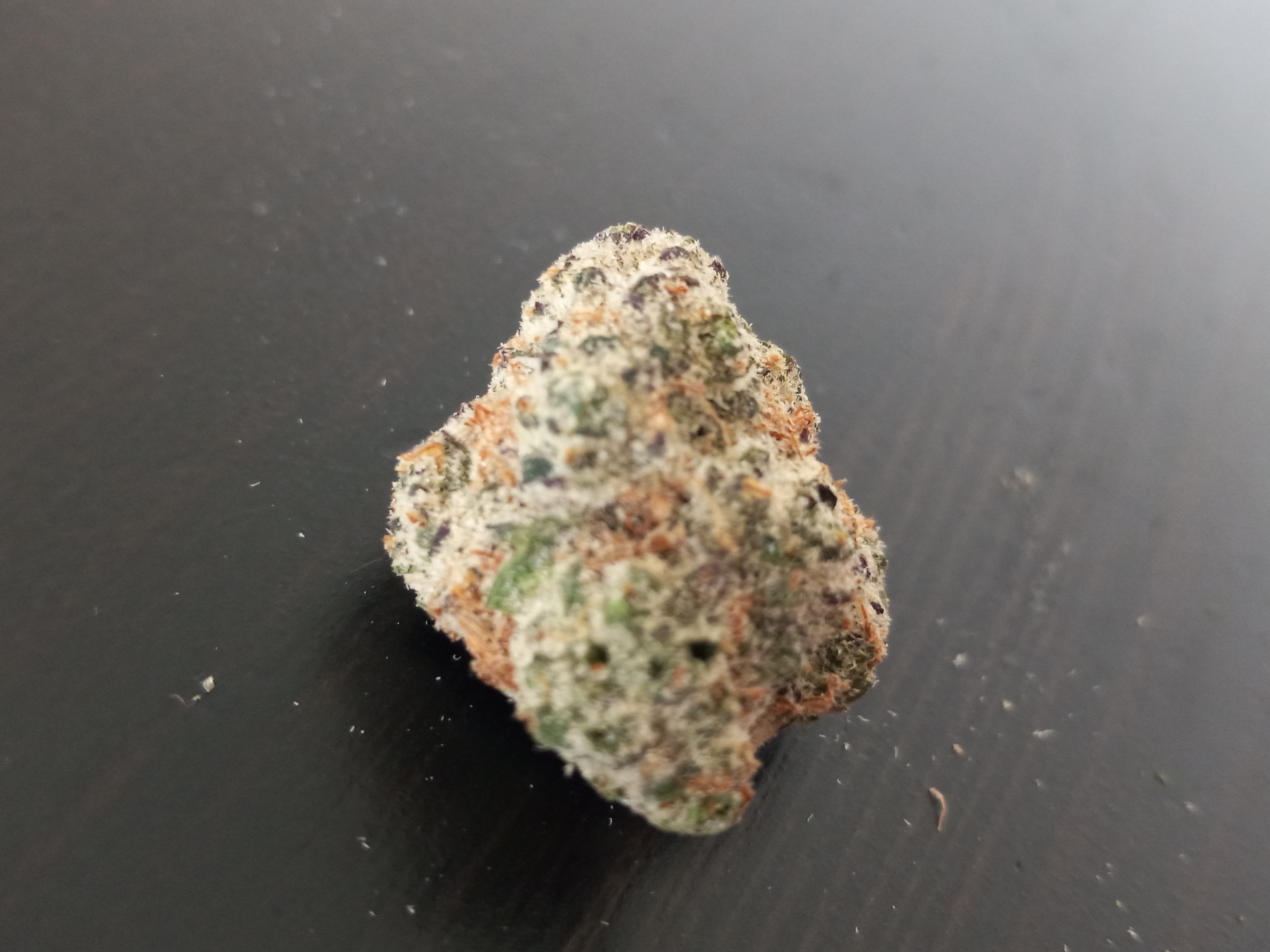 Name:  20240121_122903.jpg
Views: 725
Size:  3.67 MB