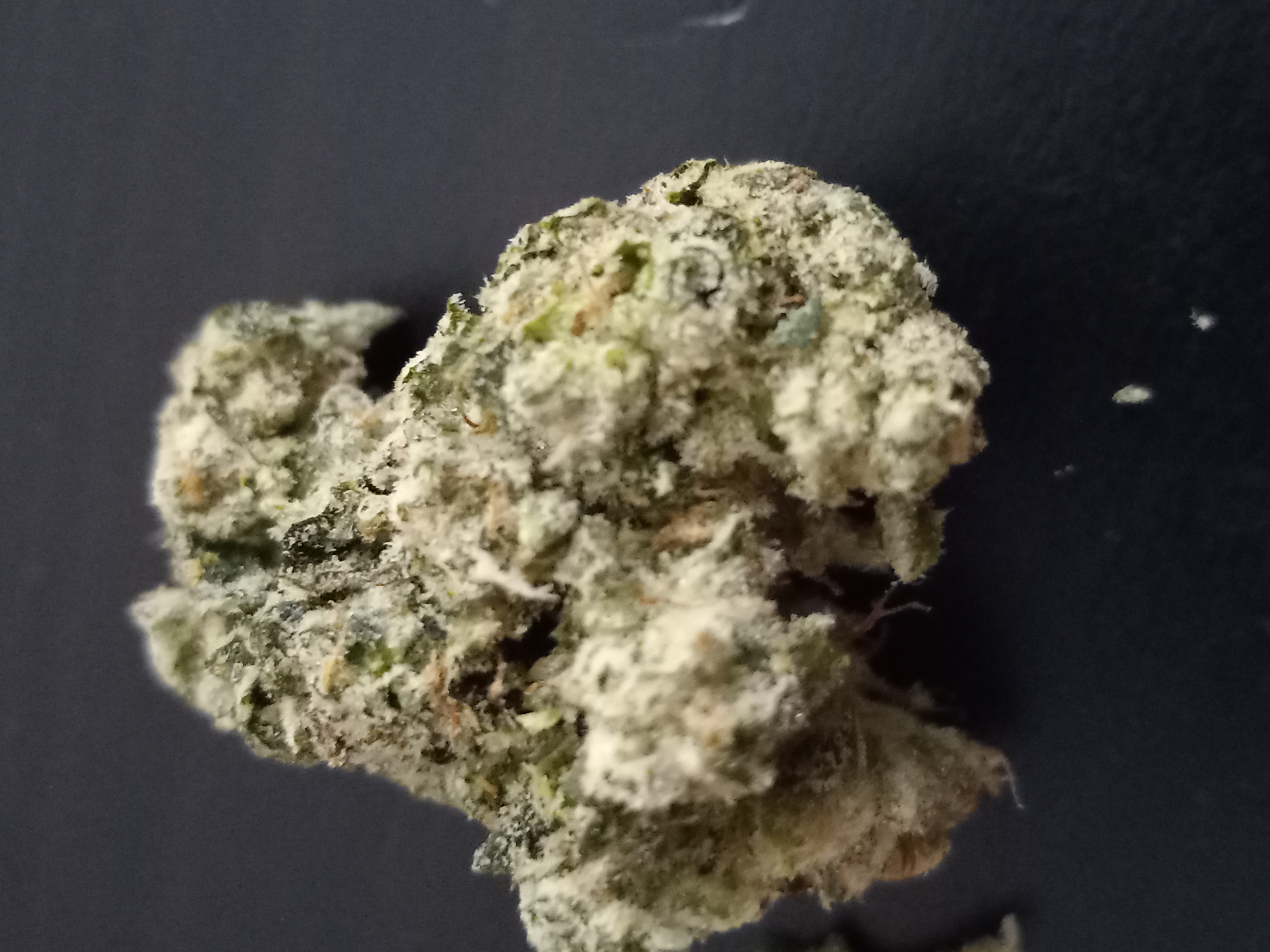 Name:  20240107_144157.jpg
Views: 747
Size:  3.99 MB