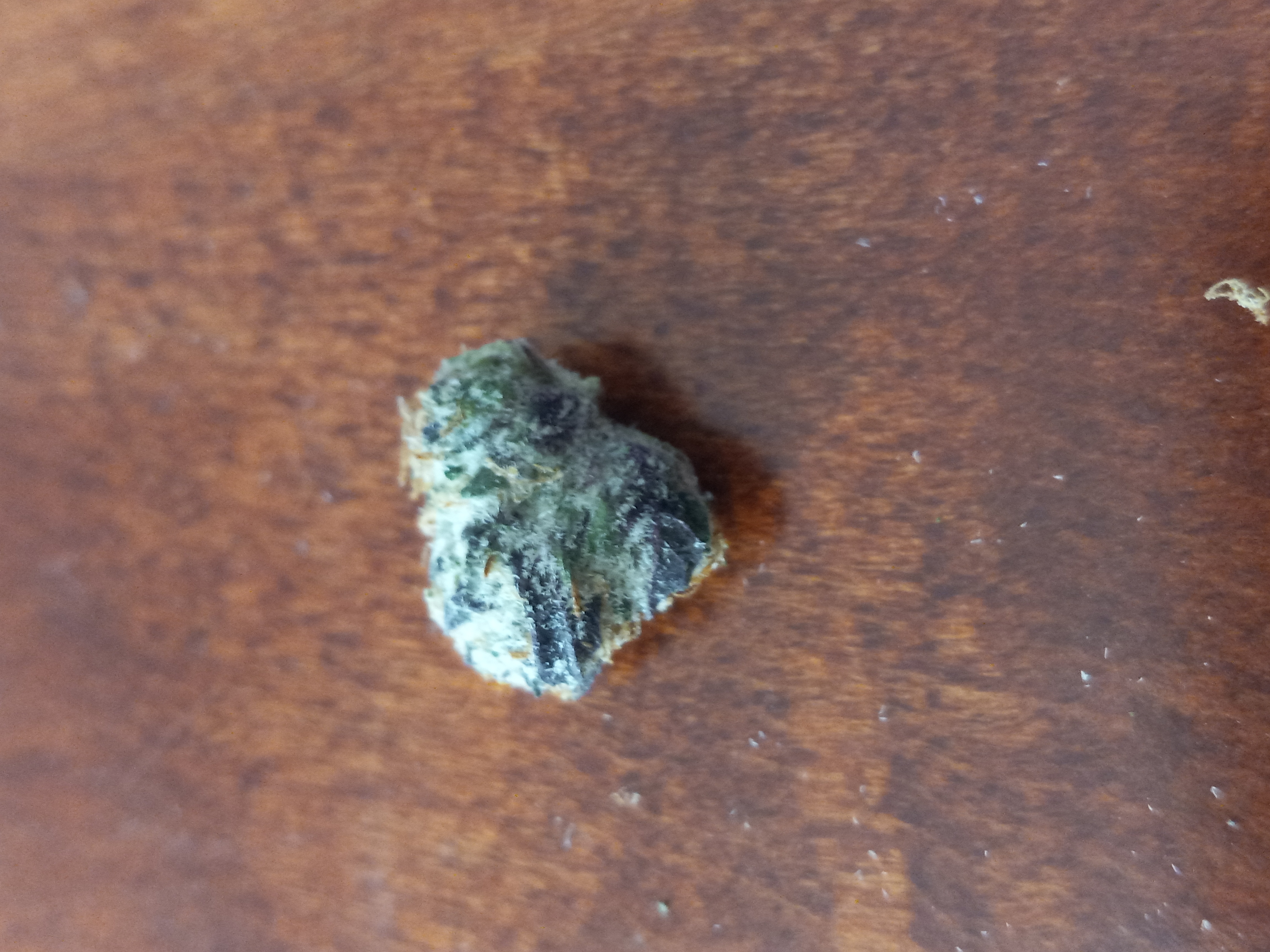 Name:  20240121_123513.jpg
Views: 723
Size:  3.92 MB