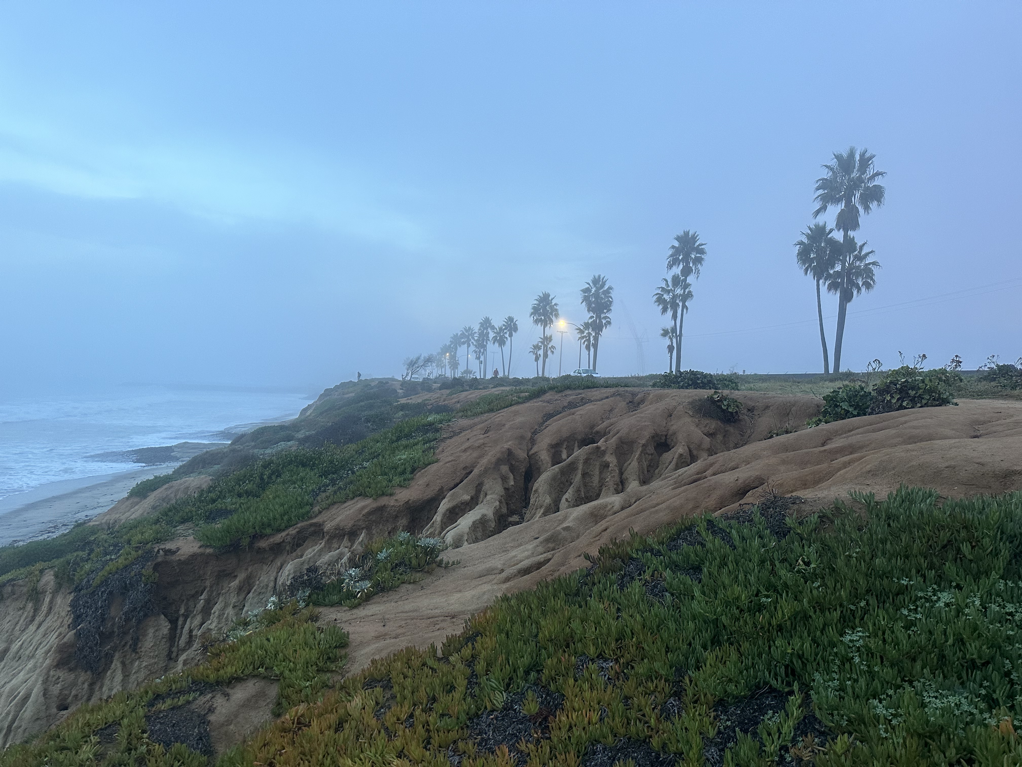 Name:  161B2B8B-802E-44A2-84B3-373CA6DC76C6.jpeg
Views: 688
Size:  3.50 MB