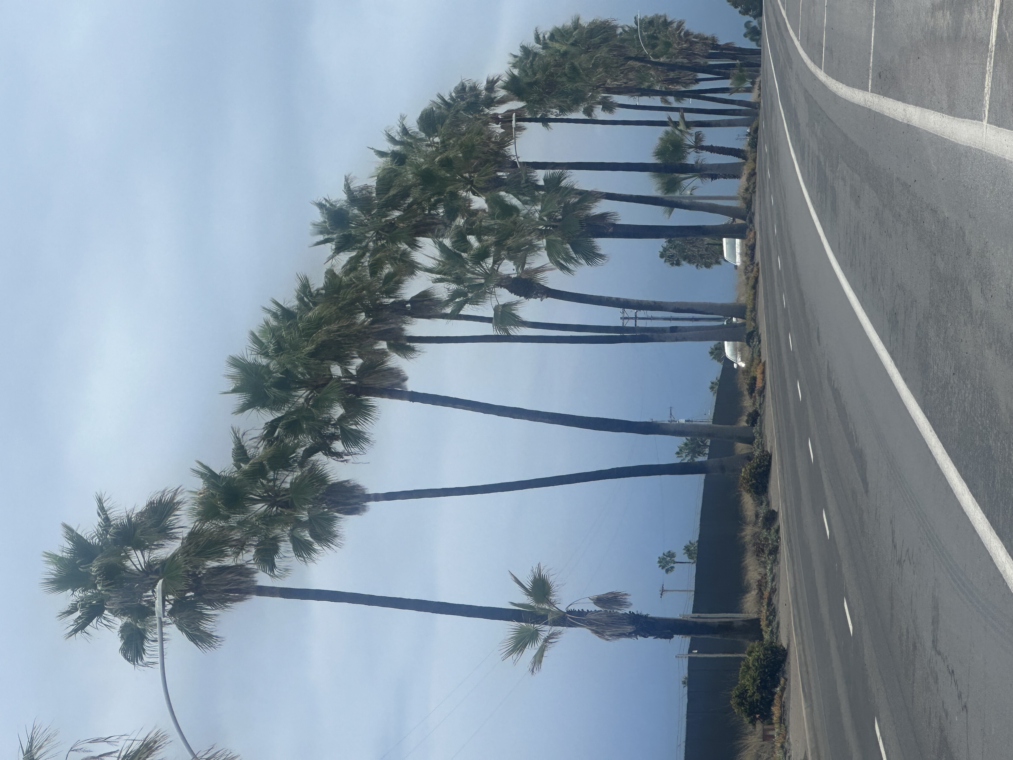 Name:  70E5CC4C-39B2-4A8F-B1BB-69ED3F6C174D.jpeg
Views: 701
Size:  2.20 MB