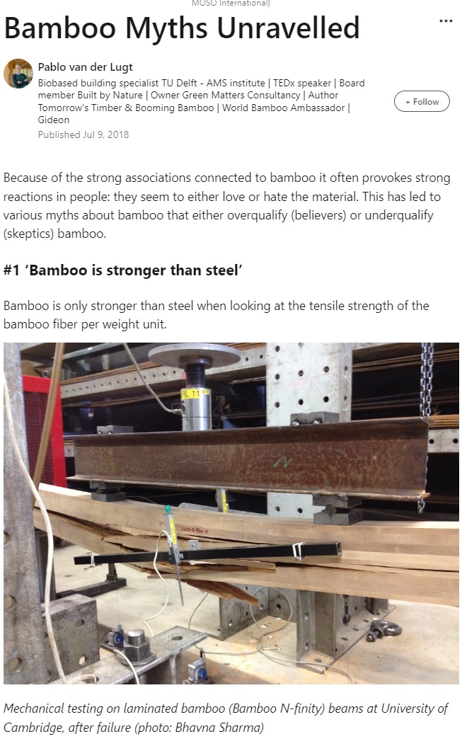 Name:  bamboo.jpg
Views: 286
Size:  221.8 KB