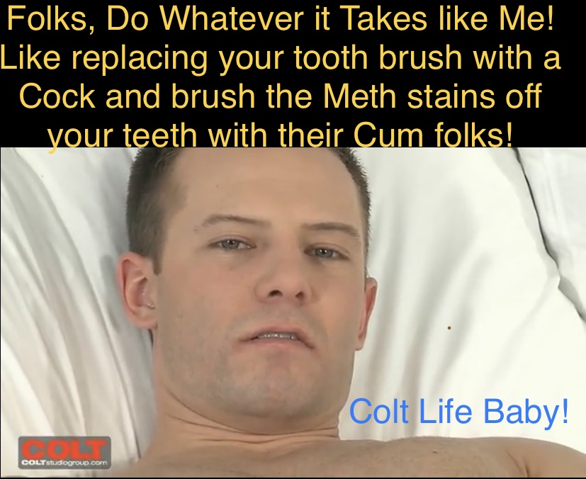 Name:  ColtLifeChrissy.jpeg
Views: 373
Size:  159.3 KB