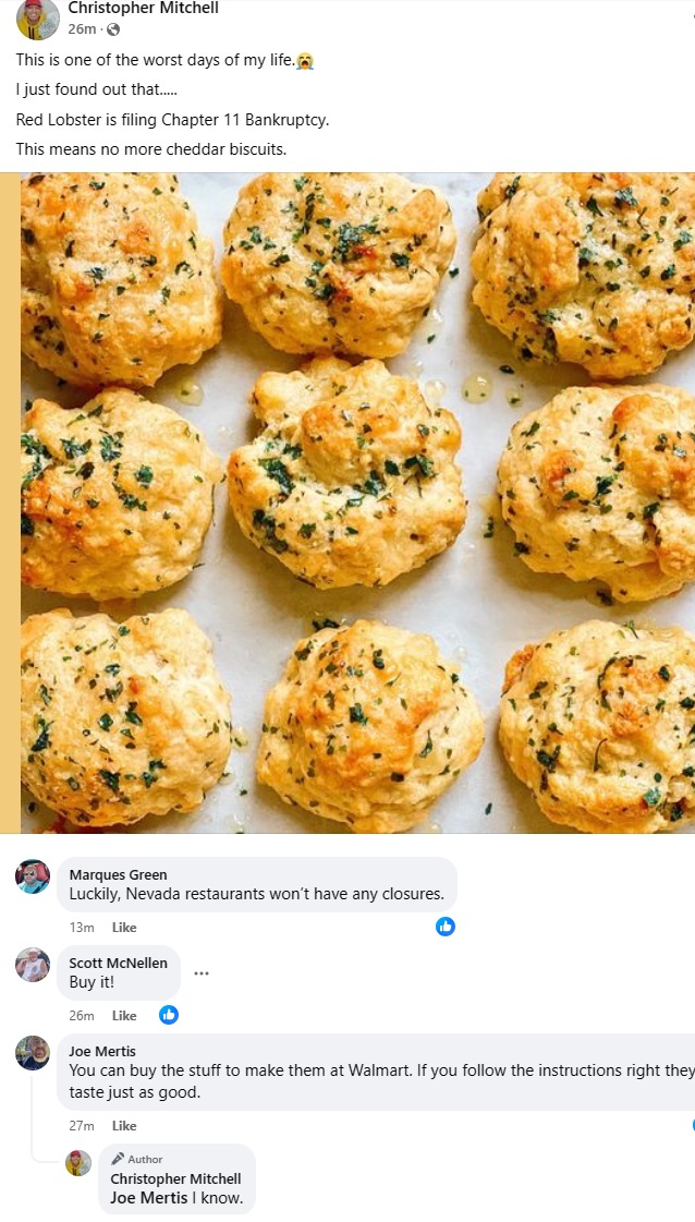 Name:  ChrissyRedLobster.jpg
Views: 235
Size:  227.0 KB