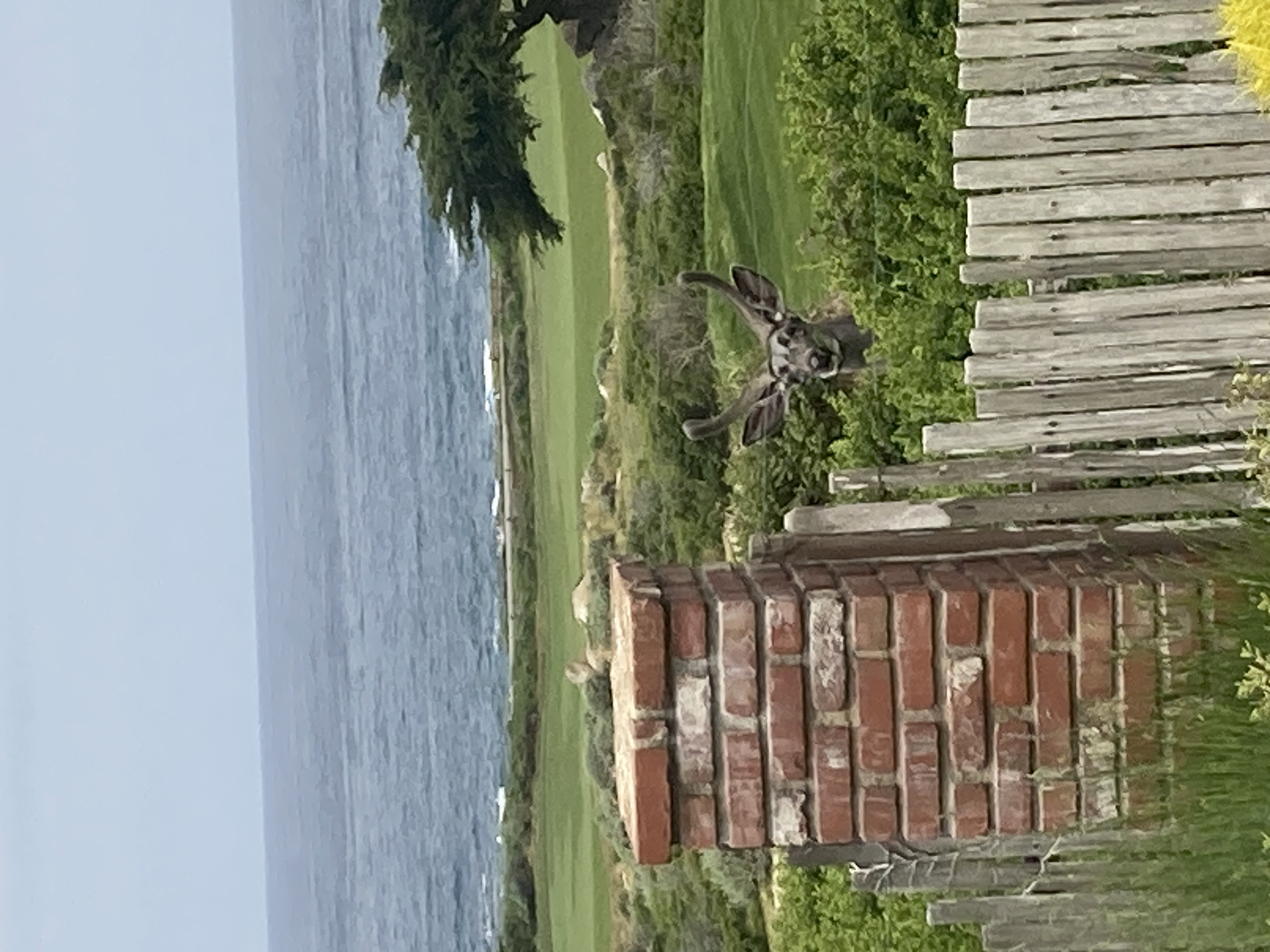 Name:  IMG_0480.jpeg
Views: 104
Size:  1.28 MB