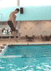Name:  Fail 2.gif
Views: 223
Size:  152.5 KB