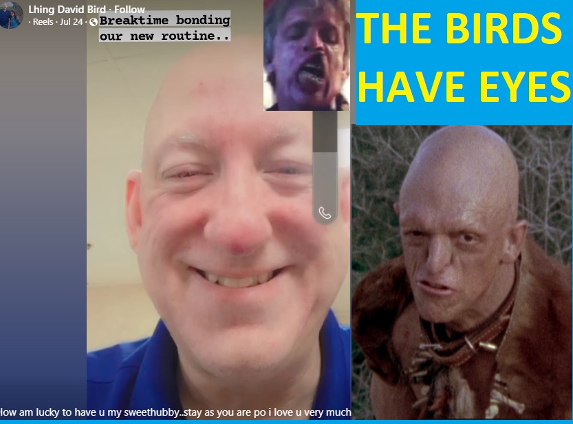 Name:  BirdBrainHillsHaveEyes2.jpg
Views: 122
Size:  118.7 KB