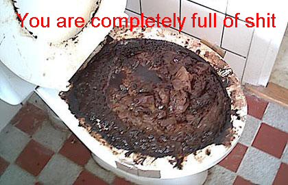 Name:  you-are-full_of_shit_toilet.jpg
Views: 210
Size:  38.5 KB