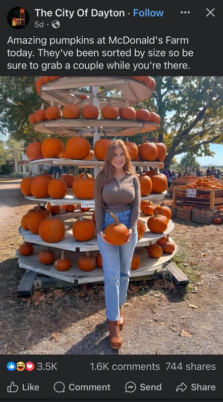 Name:  Dayton pumpkins.JPG
Views: 165
Size:  93.0 KB