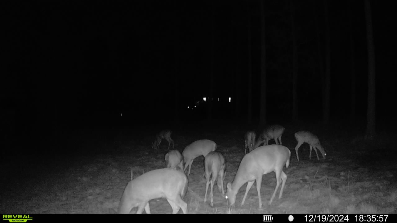 Name:  cabin..party2.12.19.24.jpg
Views: 217
Size:  49.3 KB