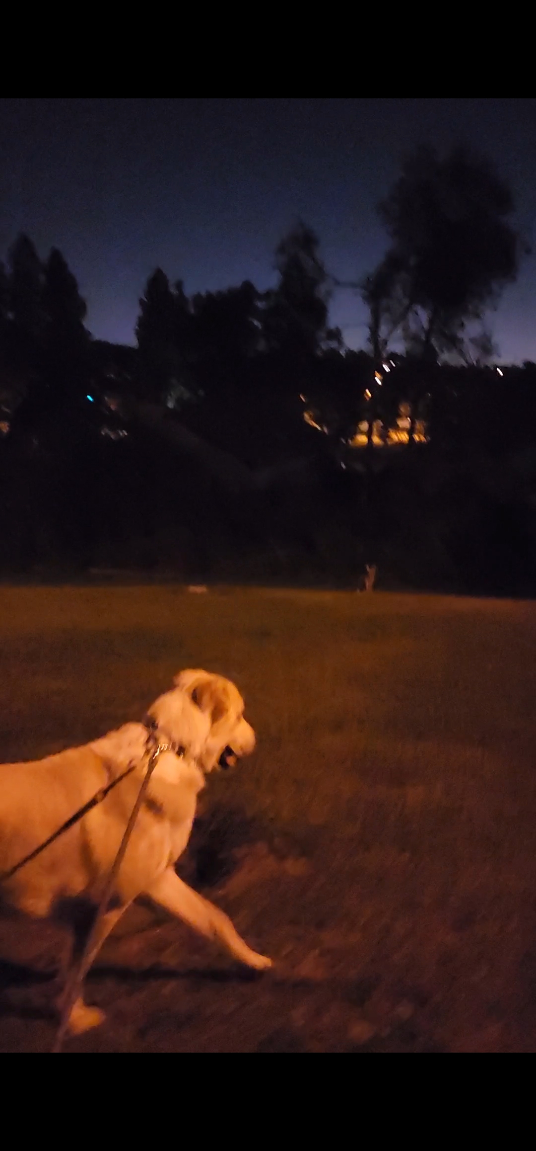 Name:  Screenshot_20241228_194503_Gallery.jpg
Views: 120
Size:  778.9 KB