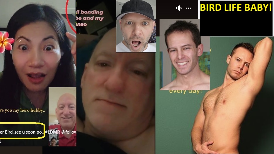 Name:  BirdbrainKyle2.jpg
Views: 461
Size:  110.7 KB