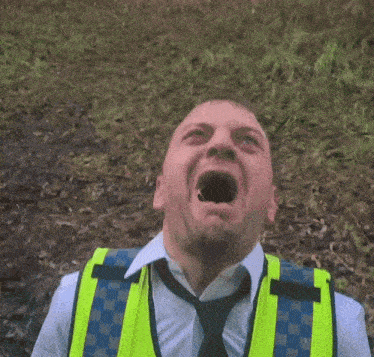 Name:  IMG_3420.gif
Views: 82
Size:  5.76 MB