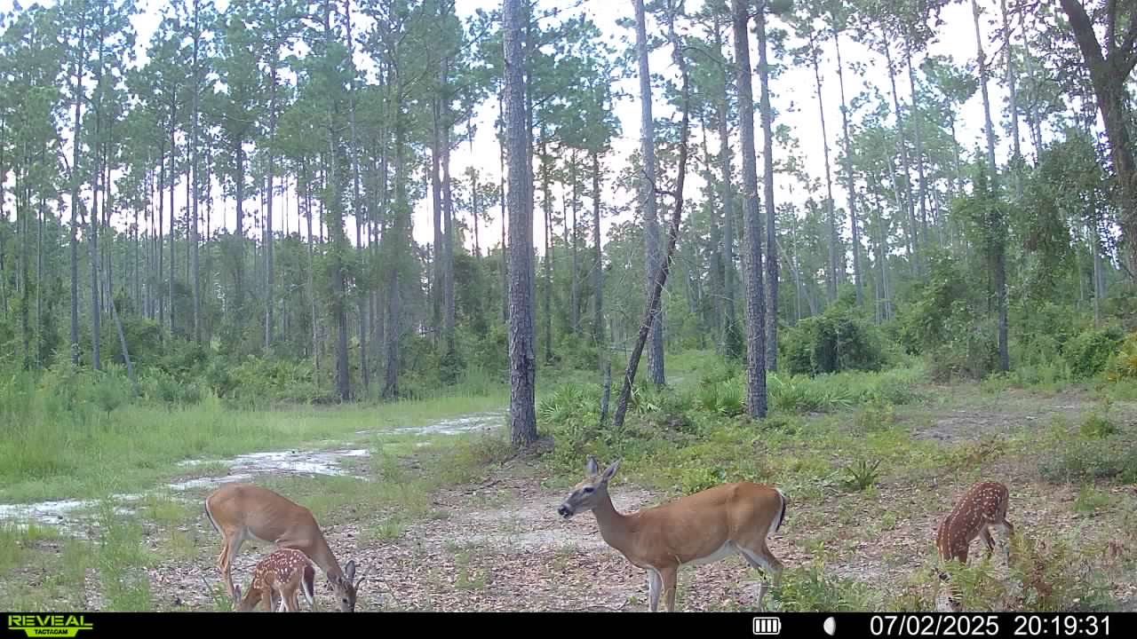 Name:  2moms&2babies.7.2.25.jpg
Views: 10
Size:  159.8 KB