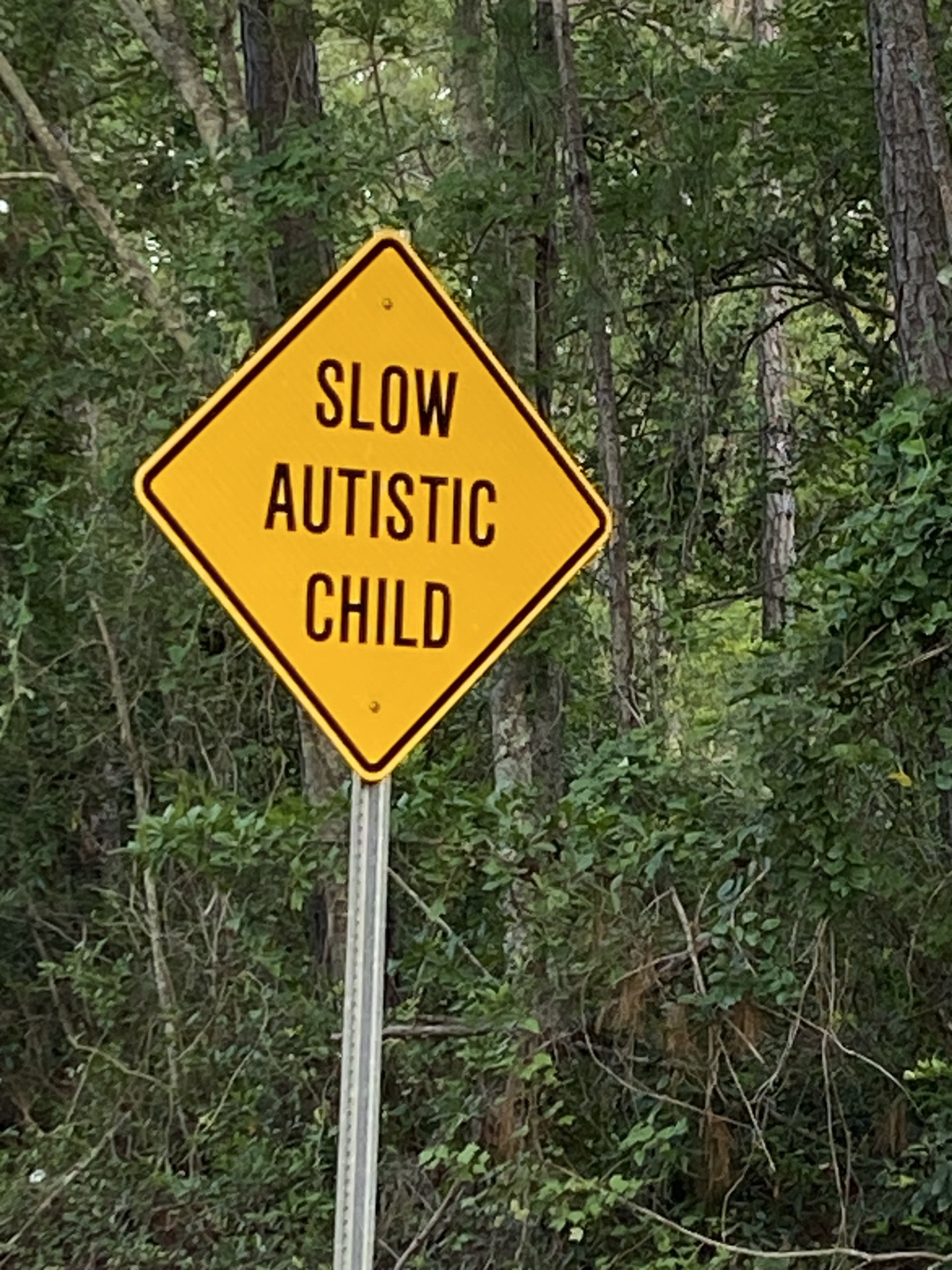 Name:  slow.autistic.child.sign.jpg
Views: 37
Size:  642.2 KB
