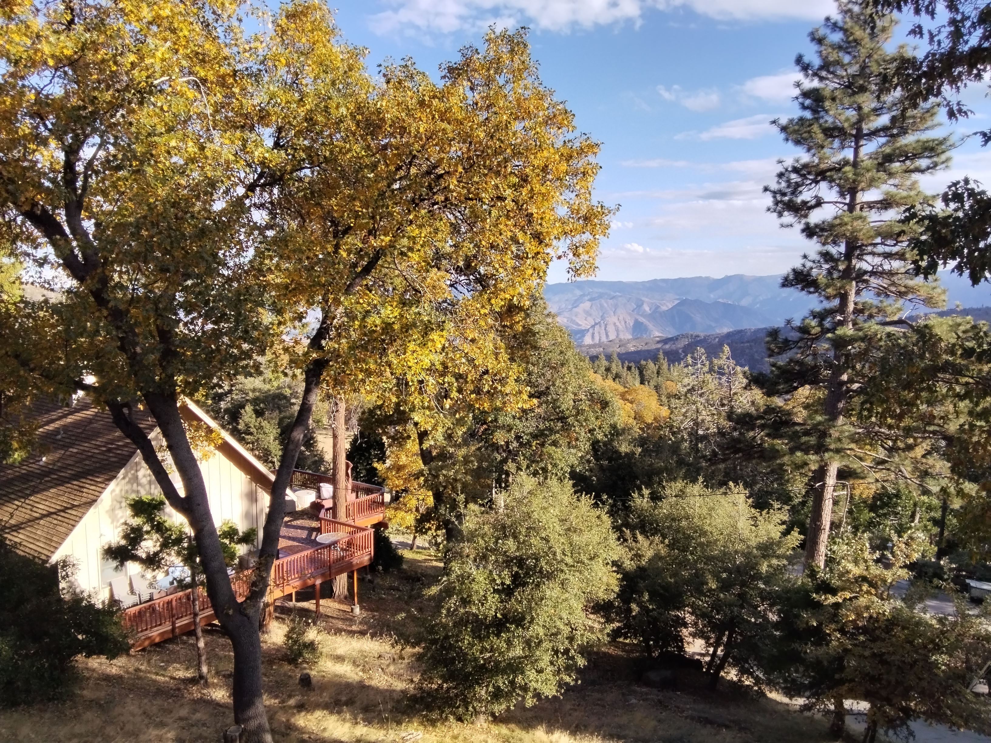 Name:  IMG_20251021_181733.jpg
Views: 96
Size:  4.15 MB