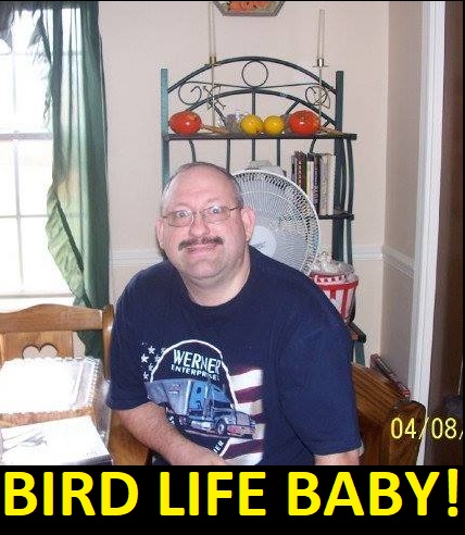 Name:  BirdLifeBaby.jpg
Views: 132
Size:  84.3 KB