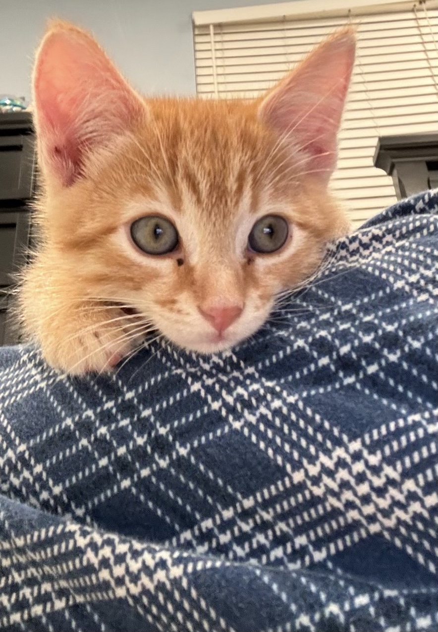 Name:  
Views: 
Size:  