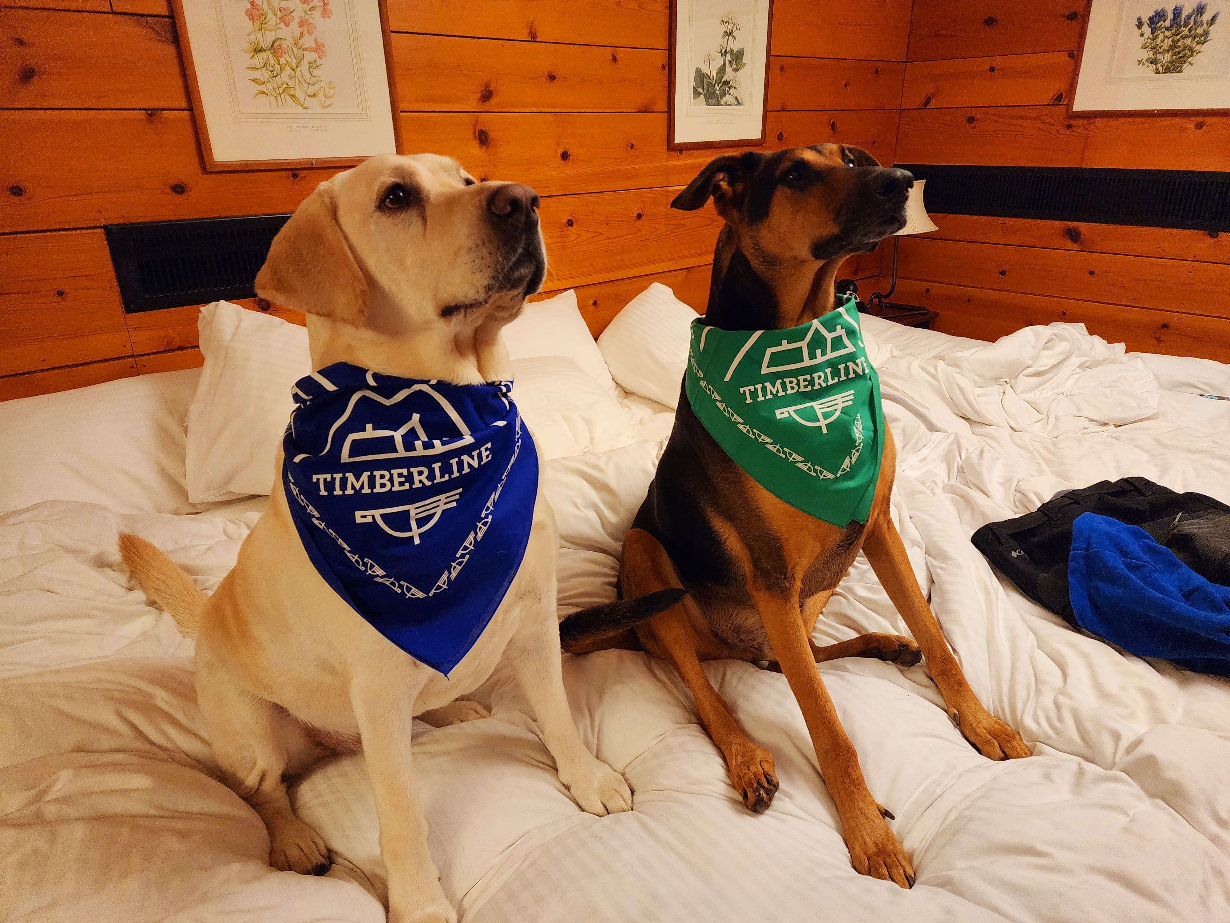 Name:  
Views: 
Size:  