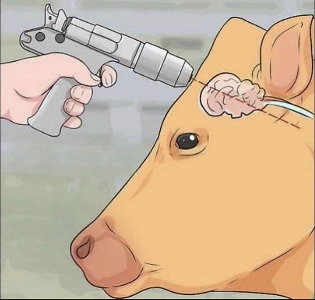 Name:  cow.png
Views: 56
Size:  449.0 KB