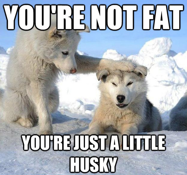 Name:  Youre-Not-Fat-Youre-Just-A-Little-Husky.jpg
Views: 639
Size:  207.9 KB