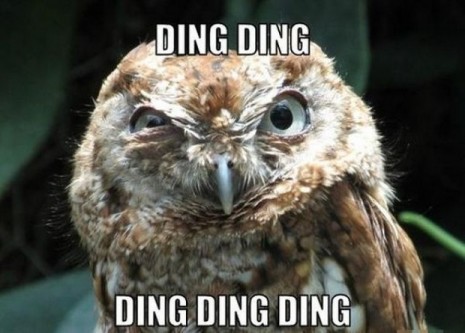 Name:  
Views: 
Size:  