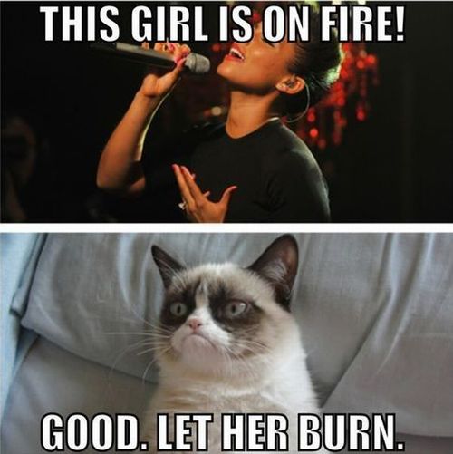 Name:  Grumpy-cat-this-girl-is-on-fire_large.jpg
Views: 197
Size:  36.9 KB
