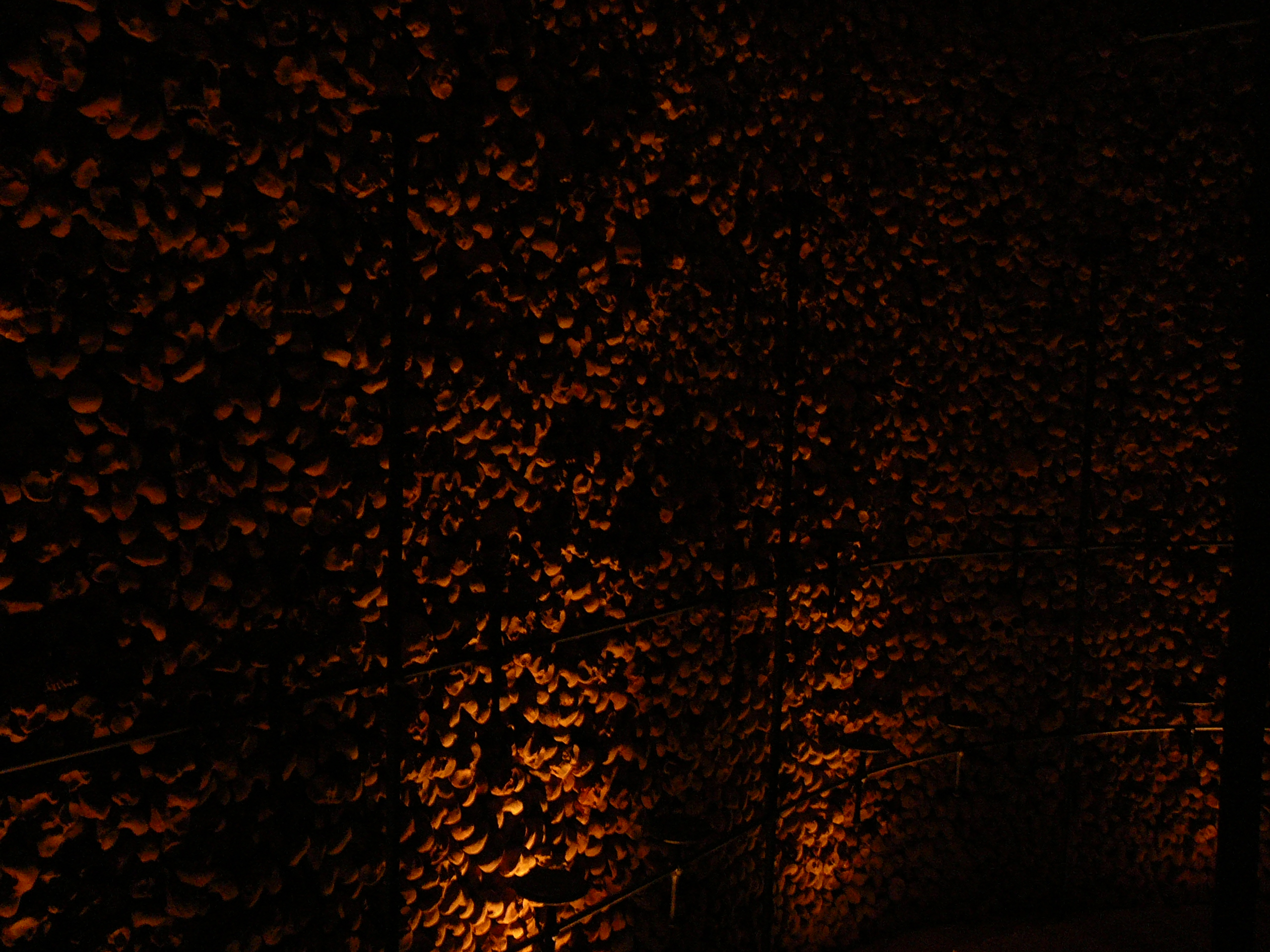 Name:  bruno1.JPG
Views: 2300
Size:  1.79 MB