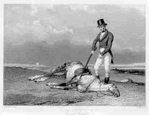 Name:  Beating-a-dead-horse.gif
Views: 601
Size:  129.0 KB