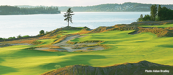 Name:  chambers-bay.jpg
Views: 329
Size:  237.5 KB