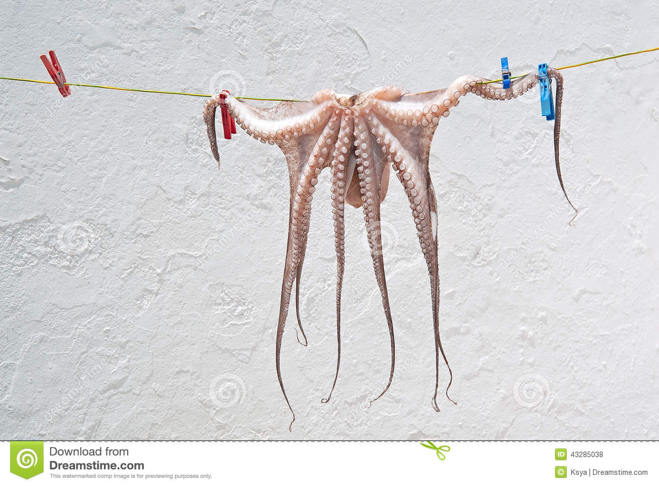 Name:  octopus-hanging-to-dry-rope-colorful-clothes-pegs-43285038.jpg
Views: 269
Size:  180.9 KB
