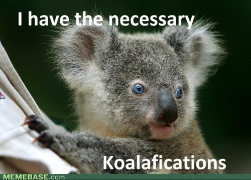 Name:  internet-memes-be-a-koala1.jpg
Views: 2814
Size:  54.7 KB