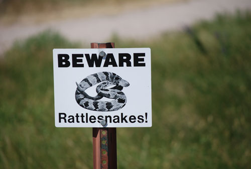 Name:  Rattlesnakes.jpg
Views: 528
Size:  23.8 KB