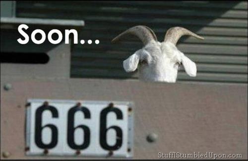 Name:  Son-of-a-Goat-666-616-Evil-Goat-Meme-End-of-the-World-Endtimes-End-Times.jpg
Views: 1152
Size:  33.4 KB