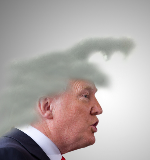 Name:  trumpcloudhair4D.jpg
Views: 943
Size:  156.3 KB