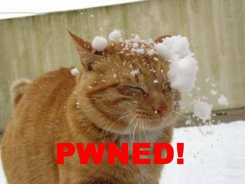 Name:  Pwned-cat_headshot.jpg
Views: 374
Size:  21.2 KB