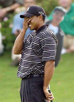 Name:  facepalm tigerwoodslolomon.jpg
Views: 552
Size:  19.7 KB