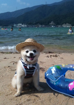 Name:  shunsukebeach.jpg
Views: 1273
Size:  106.7 KB