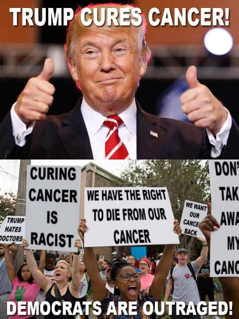 Name:  202008070603-trump-cures-cancer-democrats-liberals-protest.jpg
Views: 271
Size:  49.6 KB