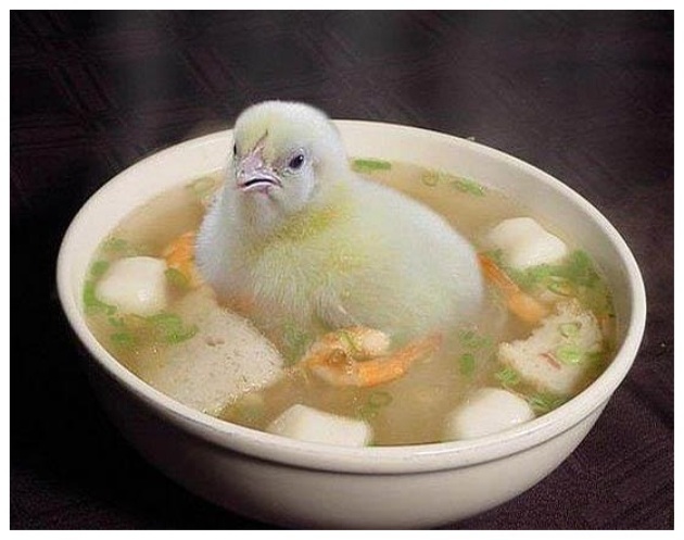 Name:  Fresh-Chicken-Soup.jpg
Views: 493
Size:  79.1 KB